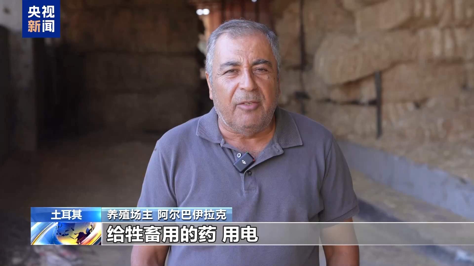 高收入岗位无人问津 土耳其遭遇“牧羊人危机”