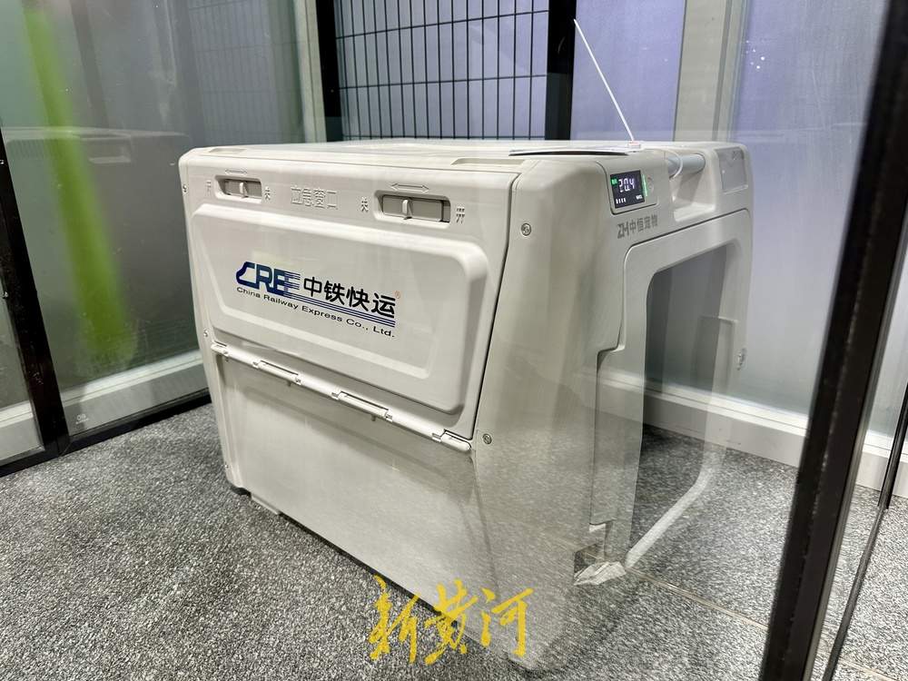 萌宠坐高铁到济南西站了！全国首趟提供高铁宠物托运服务的列车抵达