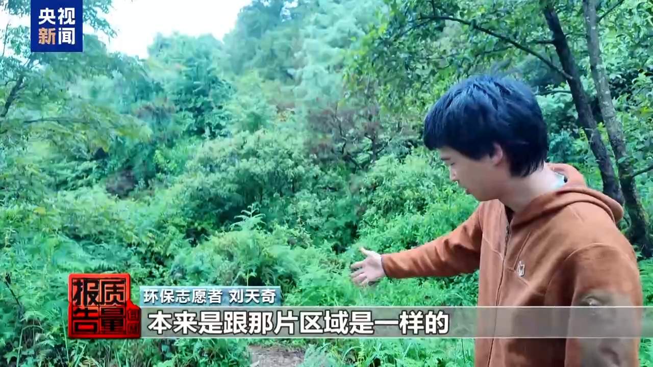 云南大理“采菌游”爆火 无序采摘已引发多起警情