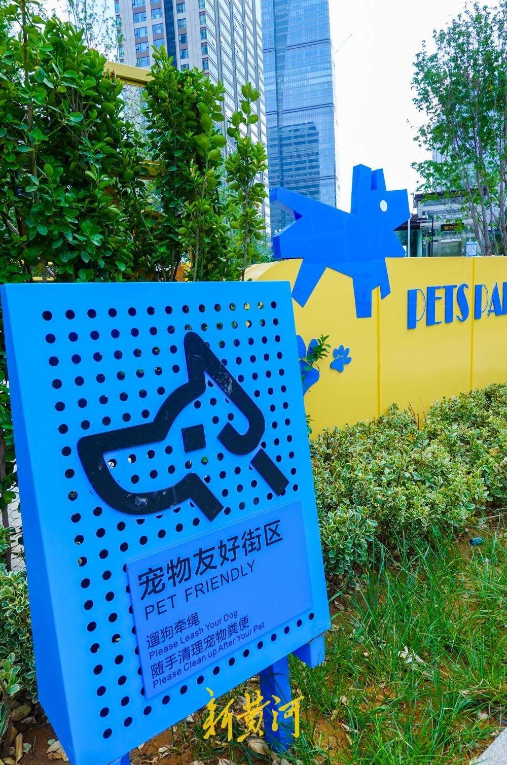 济南首个“宠物友好试点街区”亮相CBD 打造封闭式萌宠乐园