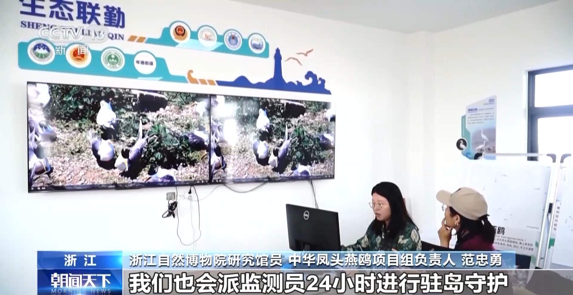 全球珍稀濒危鸟类“神话之鸟”迎来繁殖季