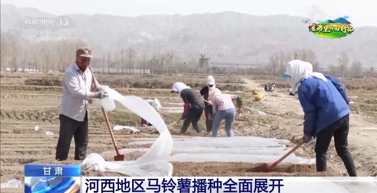 棉花套种孜然、智能化播种……各地春播有序推进
