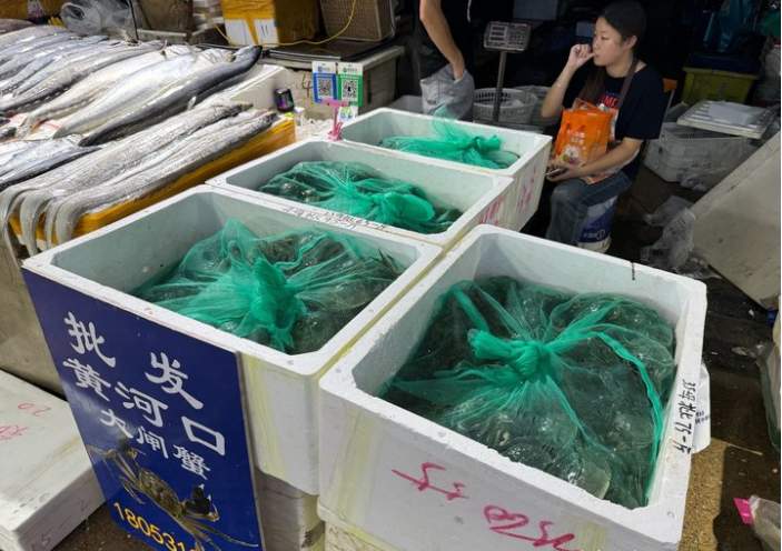 我们的节日·中秋