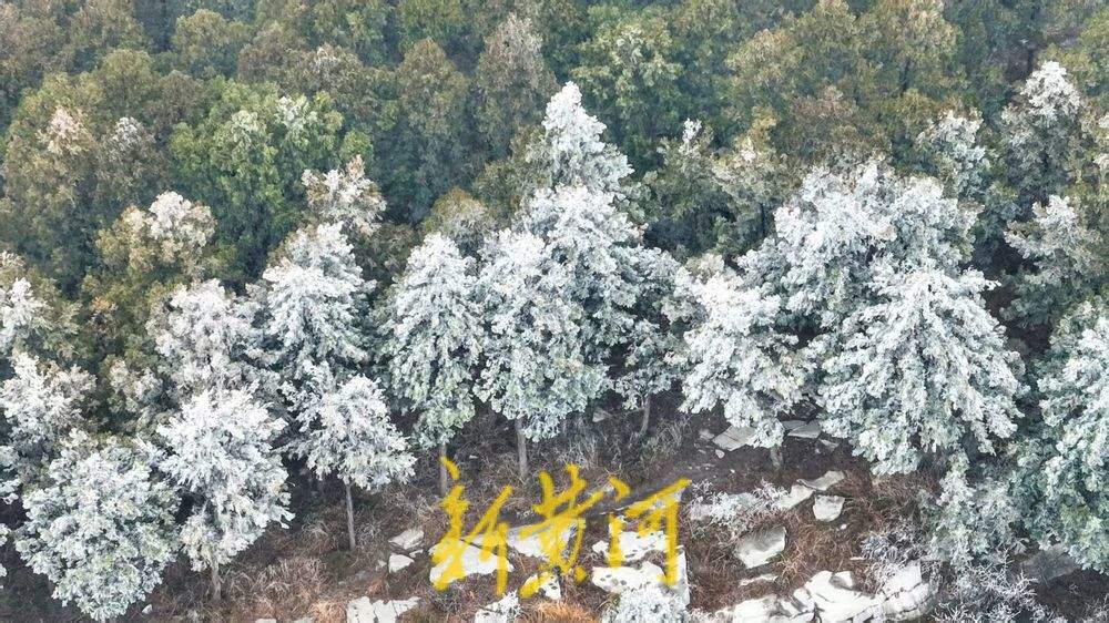 【网络中国节·春节】“泉”在济南过大年｜佛慧山银装素裹，山顶呈现雾凇奇观