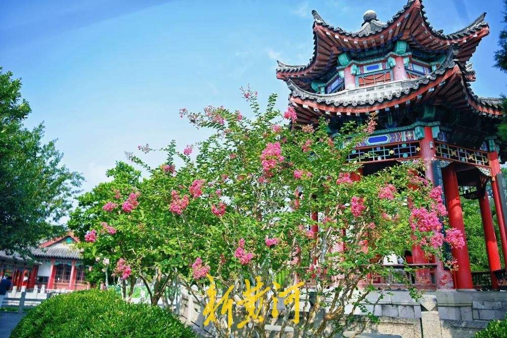 夏花未谢秋正好，大明湖得月亭繁花似锦