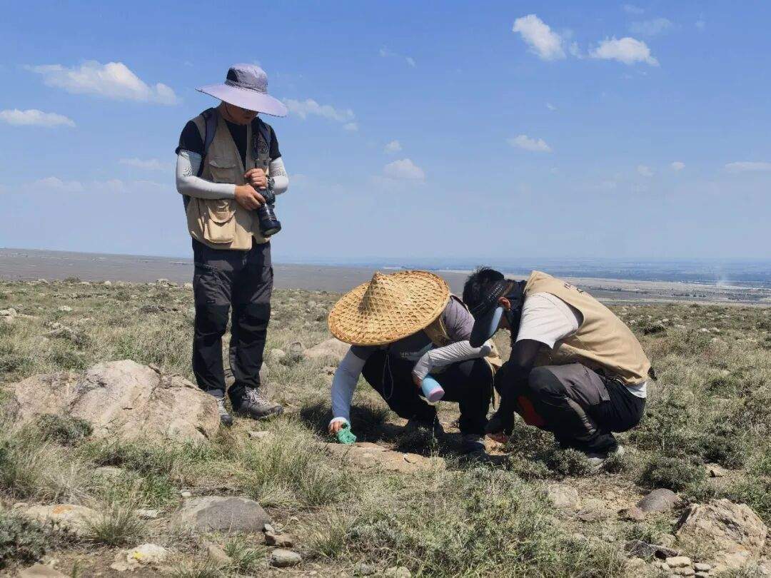贺兰山，有新发现！