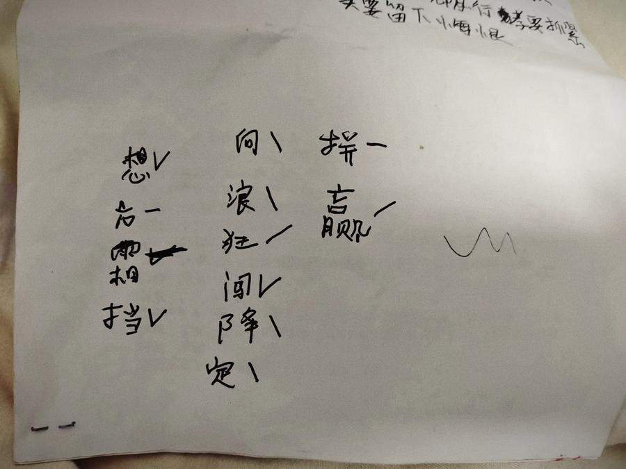 山东村晚“网红”大妈：玉米地里独唱的人走到舞台中央