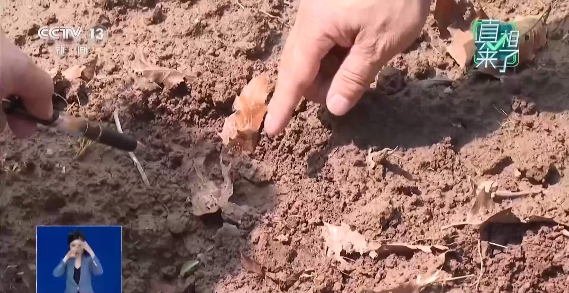 为博眼球发视频造谣村里有老虎 警方：依法查处