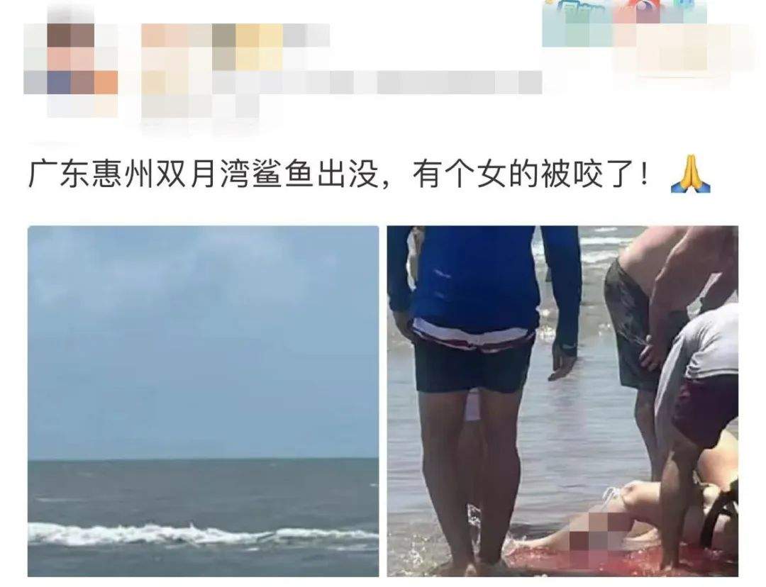 真相大白！惠州双月湾有鲨鱼咬人?假的 广东网友“打假”