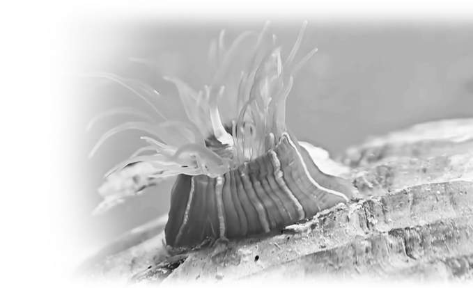 年轻人的新流行：去超市生鲜区“赶海”