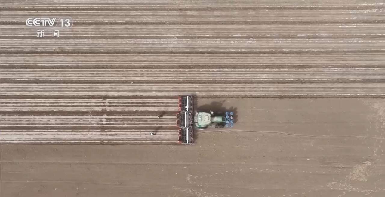 棉花套种孜然、智能化播种……各地春播有序推进