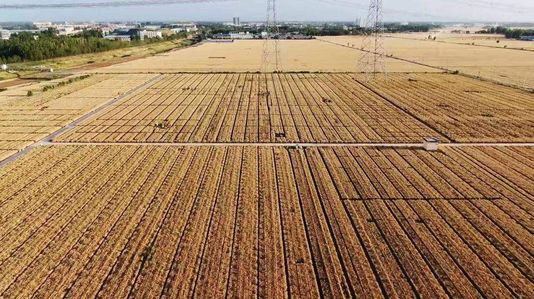 向新向好向未来，为您展望2030年的山东