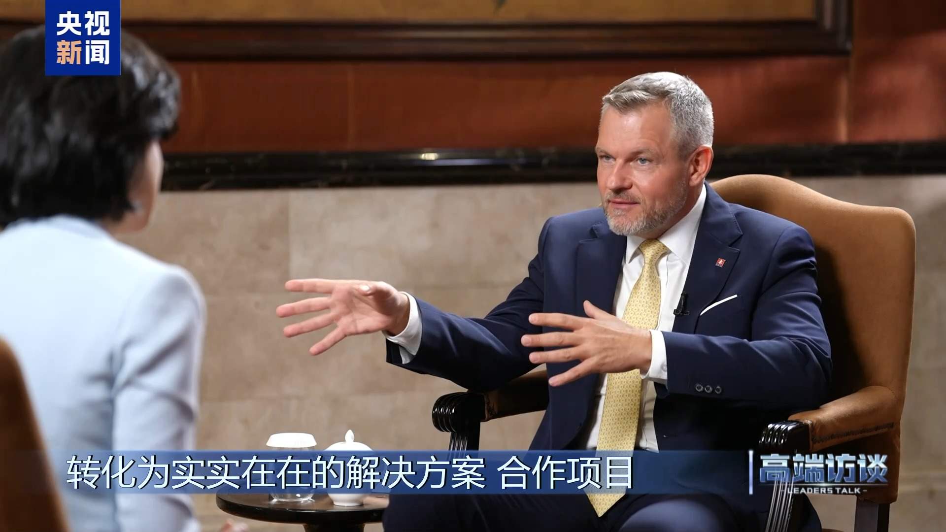 高端访谈丨专访斯洛伐克总统彼得·佩列格里尼