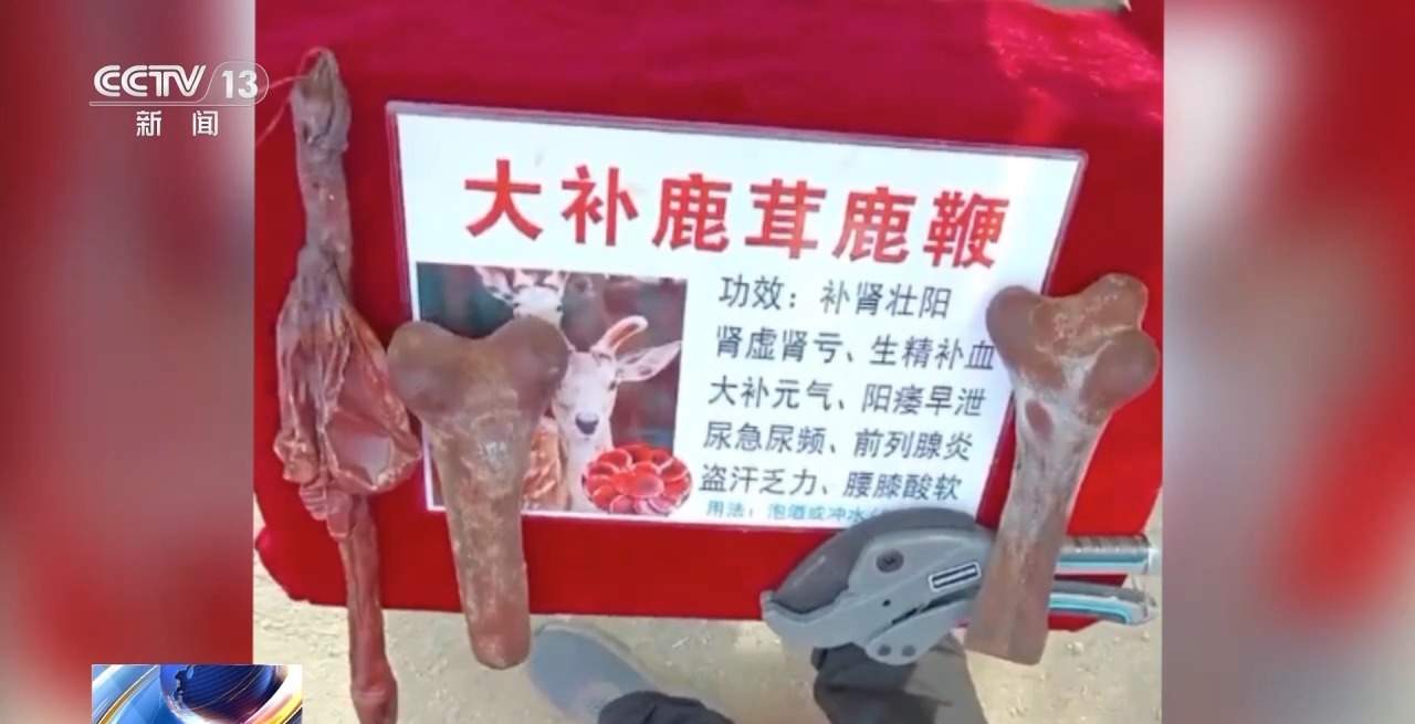 谐音设局+强买强卖 售卖假鹿茸犯罪团伙28人全部获刑