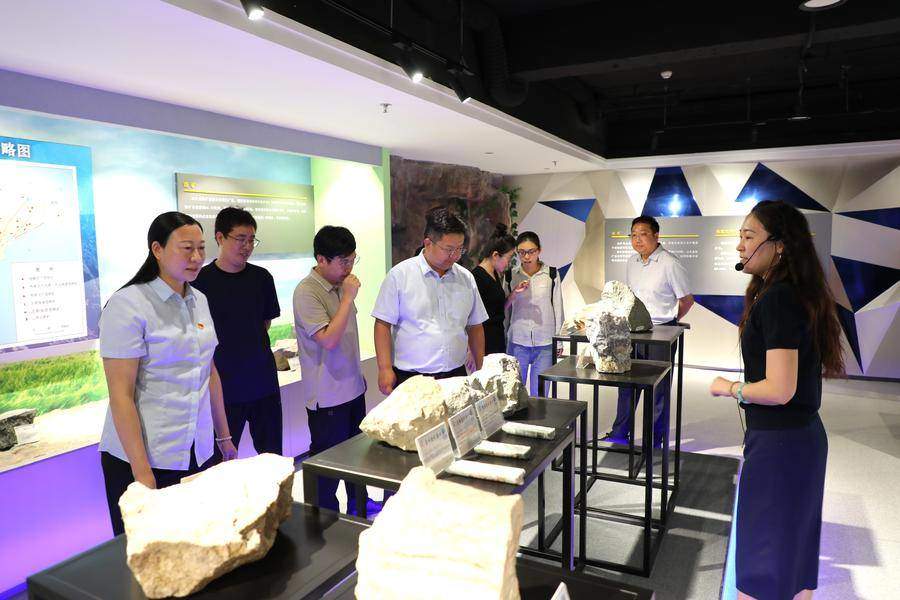 山东省地质测绘院与省物化探勘查院联合开展支部共建活动
