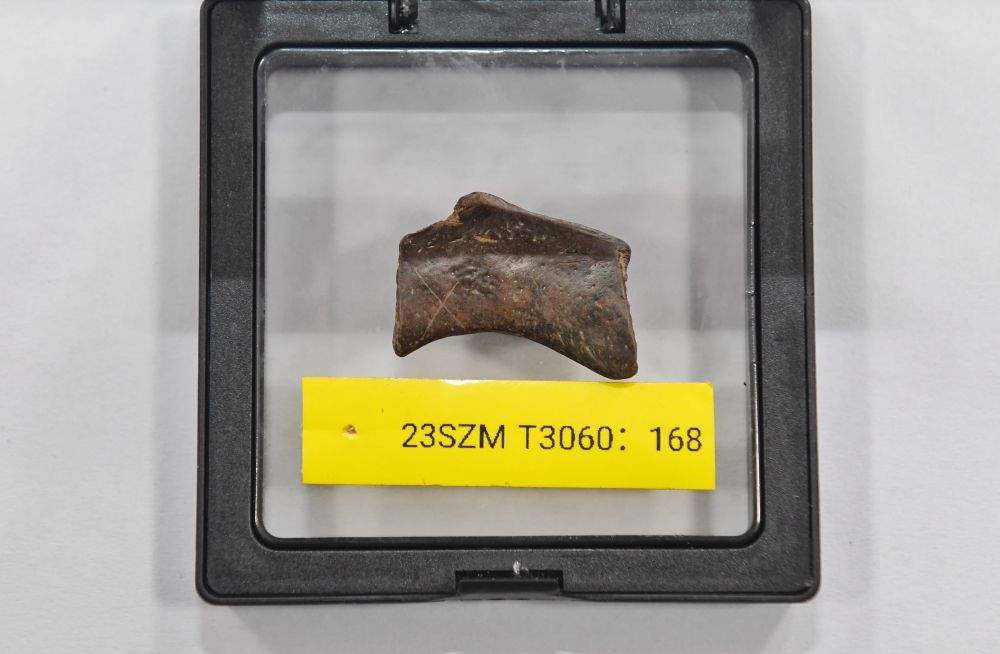 镜观·回响｜巴风蜀韵承古脉 千年文华耀西川