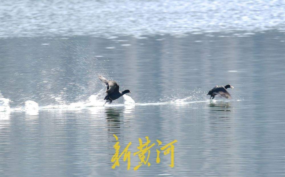 ϣƽ̤˷ɣ硰ִ