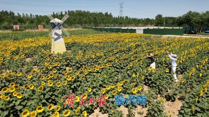 海右新论｜广阔乡村亦是施展才华的大舞台