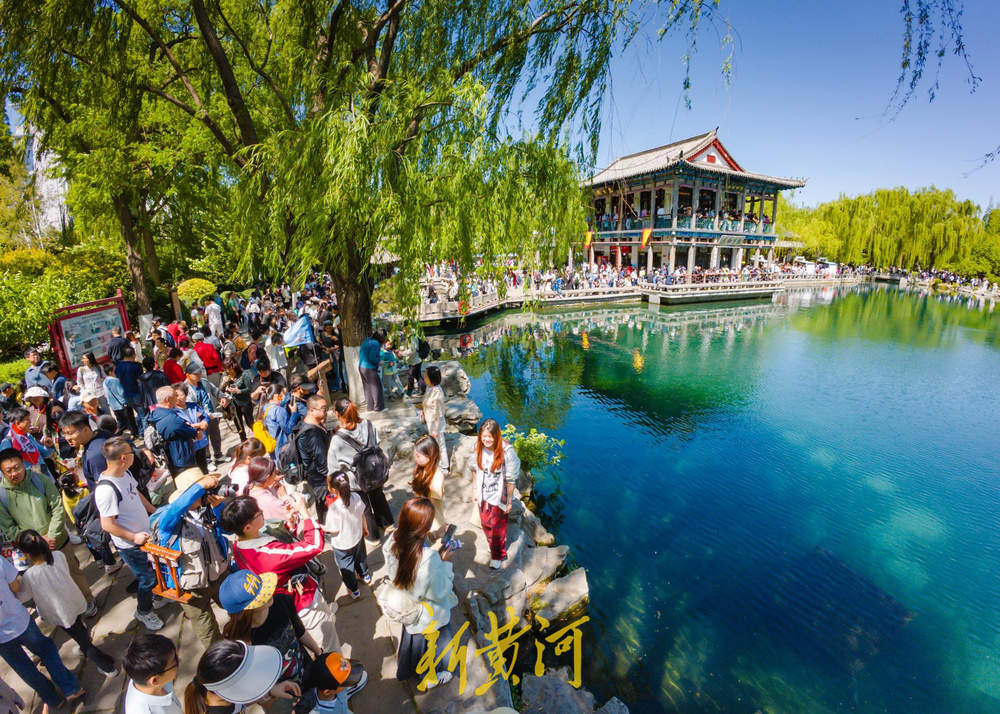 一年四季 泉在济南｜济南五龙潭公园风景如画 游客尽享假日时光