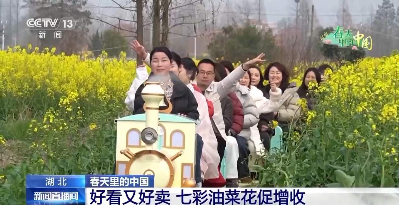 各地春日赏花有哪些好去处？请看这份赏花攻略