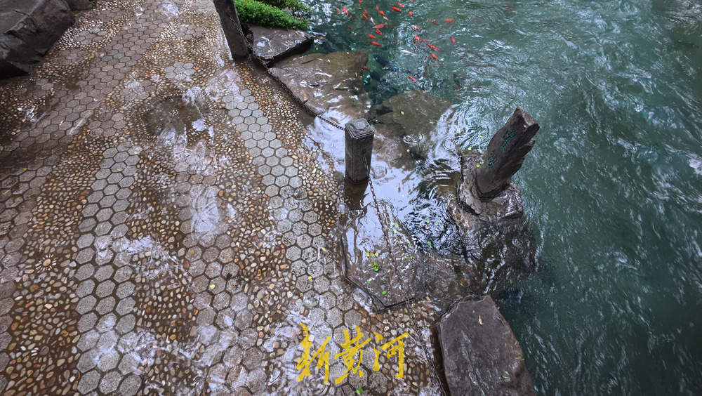 水位上涨泉水喷涌发力 溢出泉池涌入岸边路