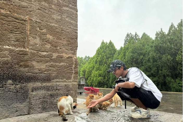 “泉”在济南享金秋｜因“悟空”爆火的四门塔，还有个绰号叫“猫猫寺”