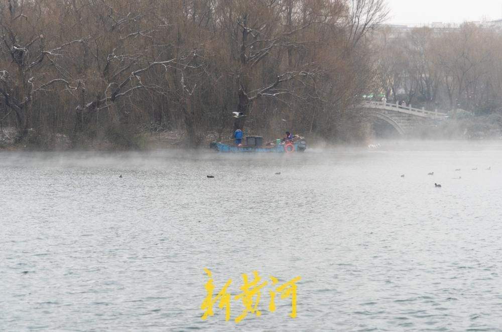 冰泉生烟，雪落成诗！济南大明湖再现“云雾润蒸”奇观