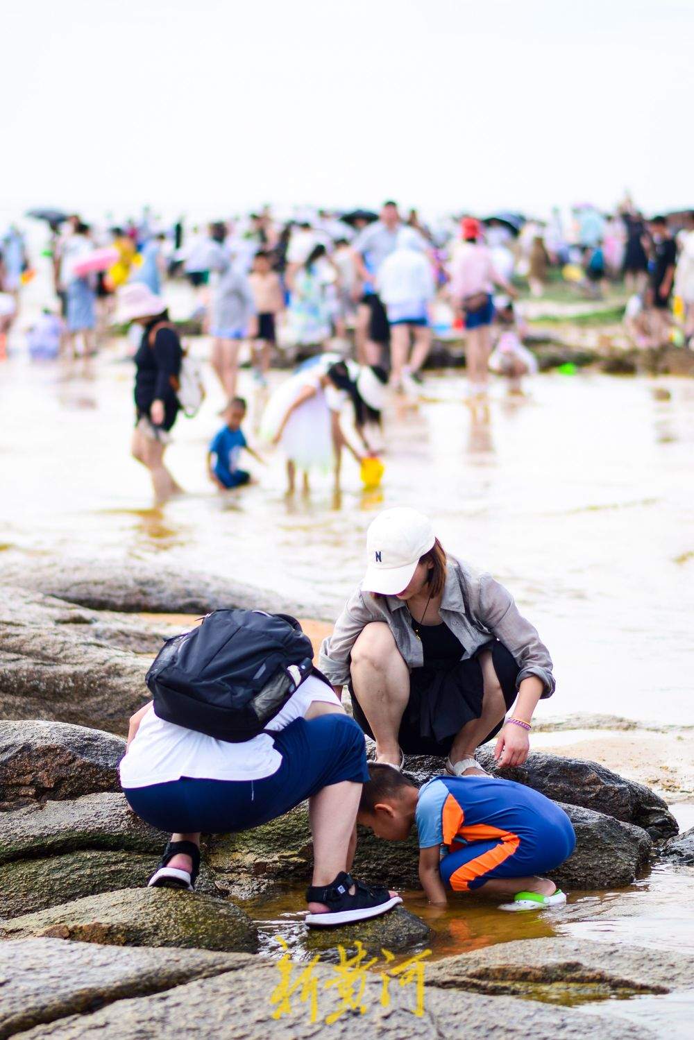 踏浪赶海讨海货，夏日来山东玩海吧