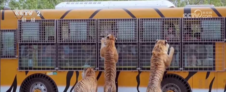 4月29日4时10分,我国在文昌航天发射场使用长征五号乙运载火箭/远征二号上面级,成功将卫星互联网低轨03组卫星发射升空,卫星顺利进入预定轨道,发射任务获得圆满成功。