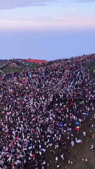 “人从众”模式不断升级！安全如何不“迷路”？