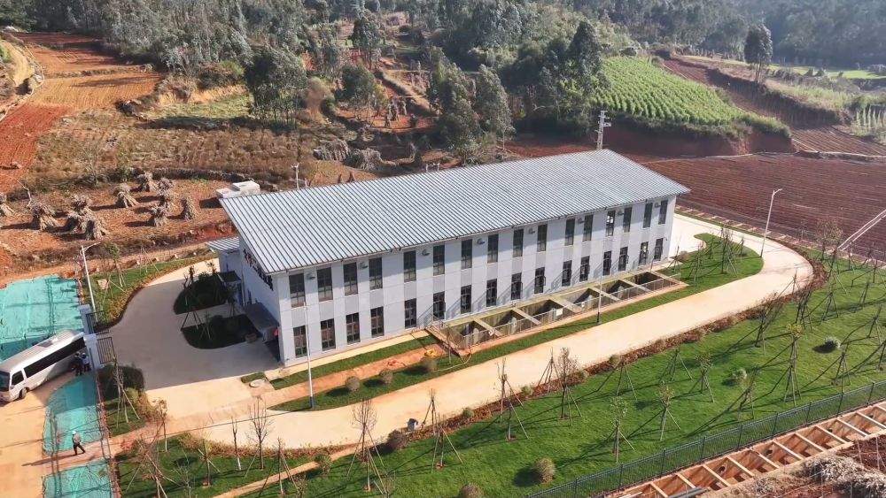 新华视点|2026开局暖人心:消费旺 服务优 基建稳