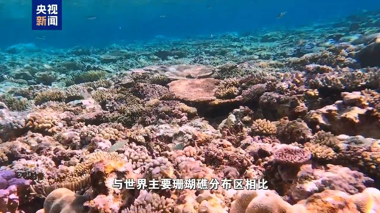 我国首次发布仙宾礁珊瑚礁“体检”报告 菲方炮制言论毫无科学和事实依据