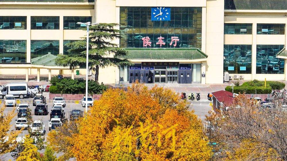 700余株樱花林层林浸染 ，济南湖滨广场迎来最绚丽的时节