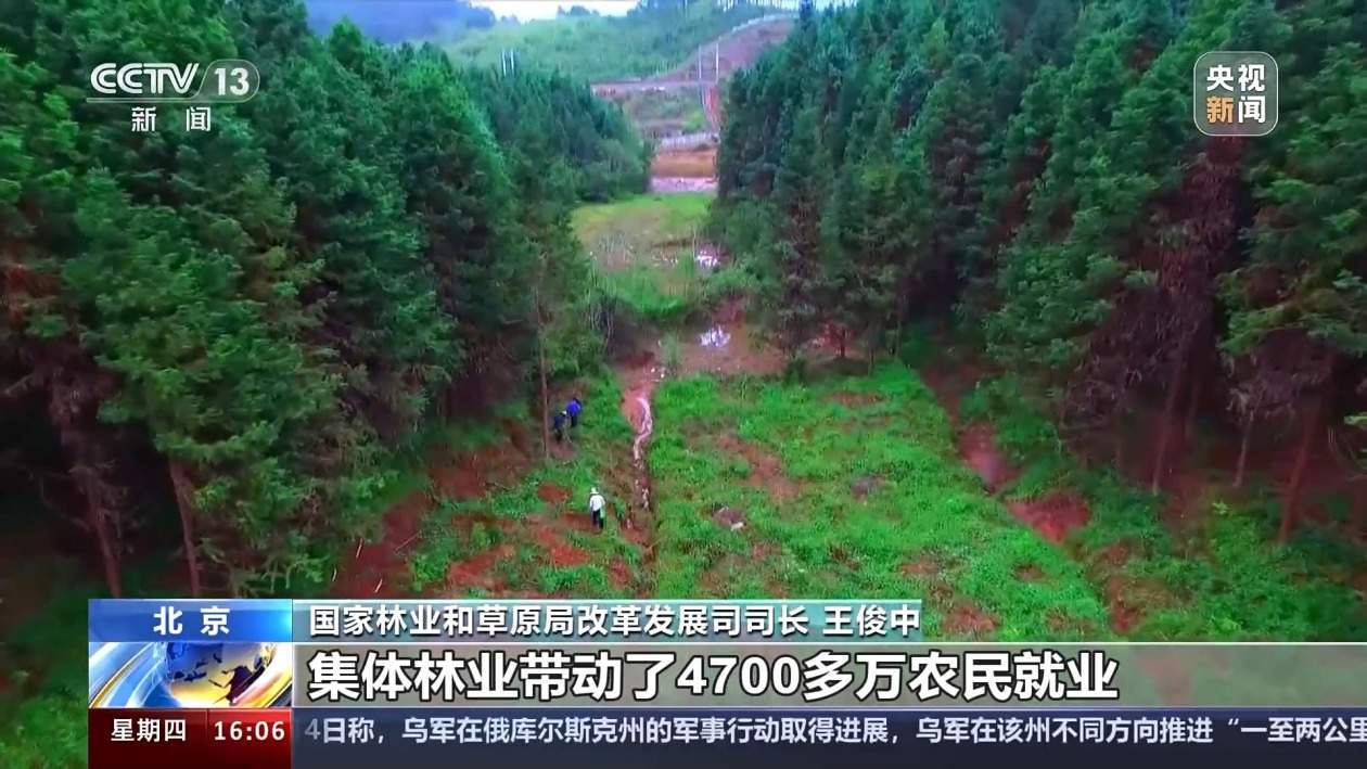 我国森林覆盖率超24%！还有这两项数据，居世界第一