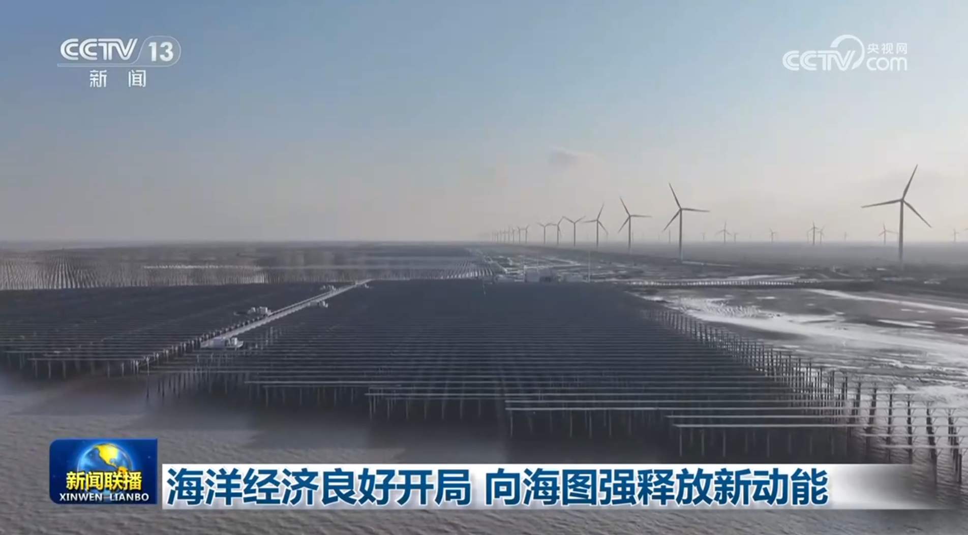 海洋经济良好开局 向海图强释放新动能