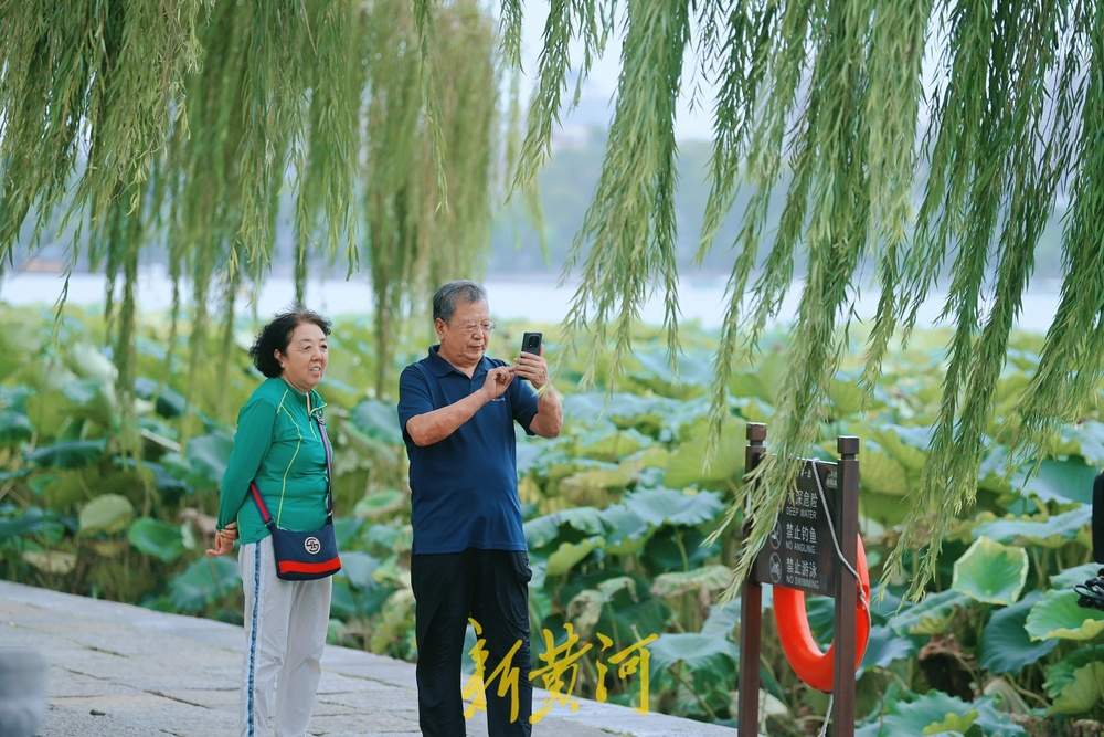 大明湖畔秋高气爽，游客驻足赏秋荷