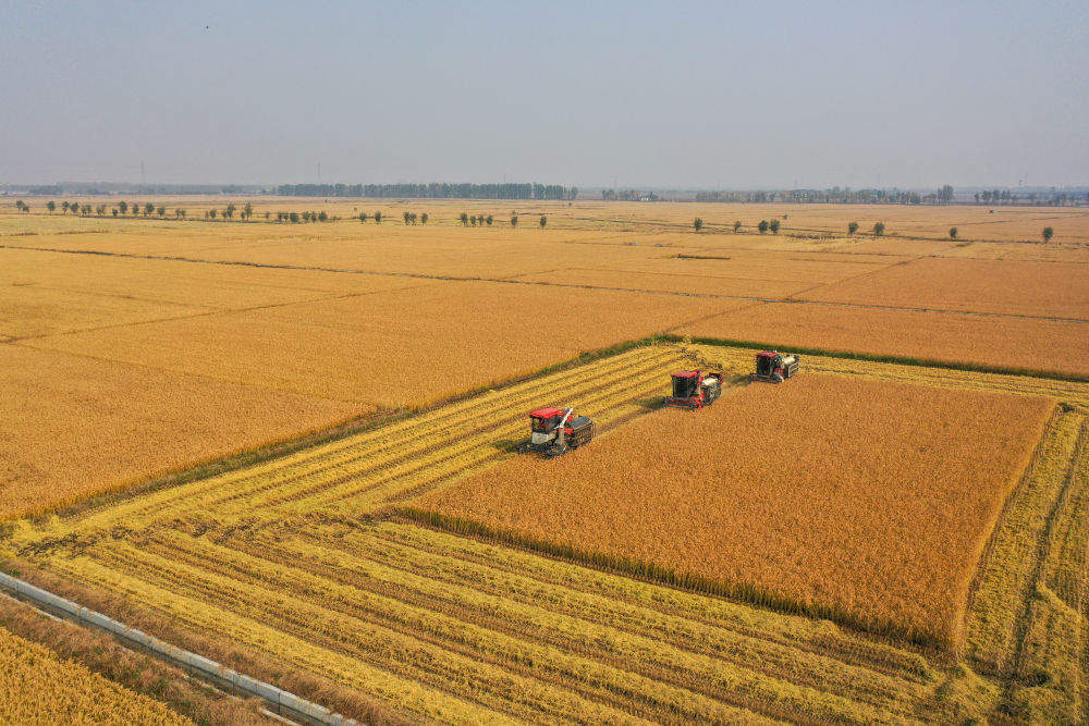 习近平总书记引领中国从脱贫攻坚迈向乡村全面振兴