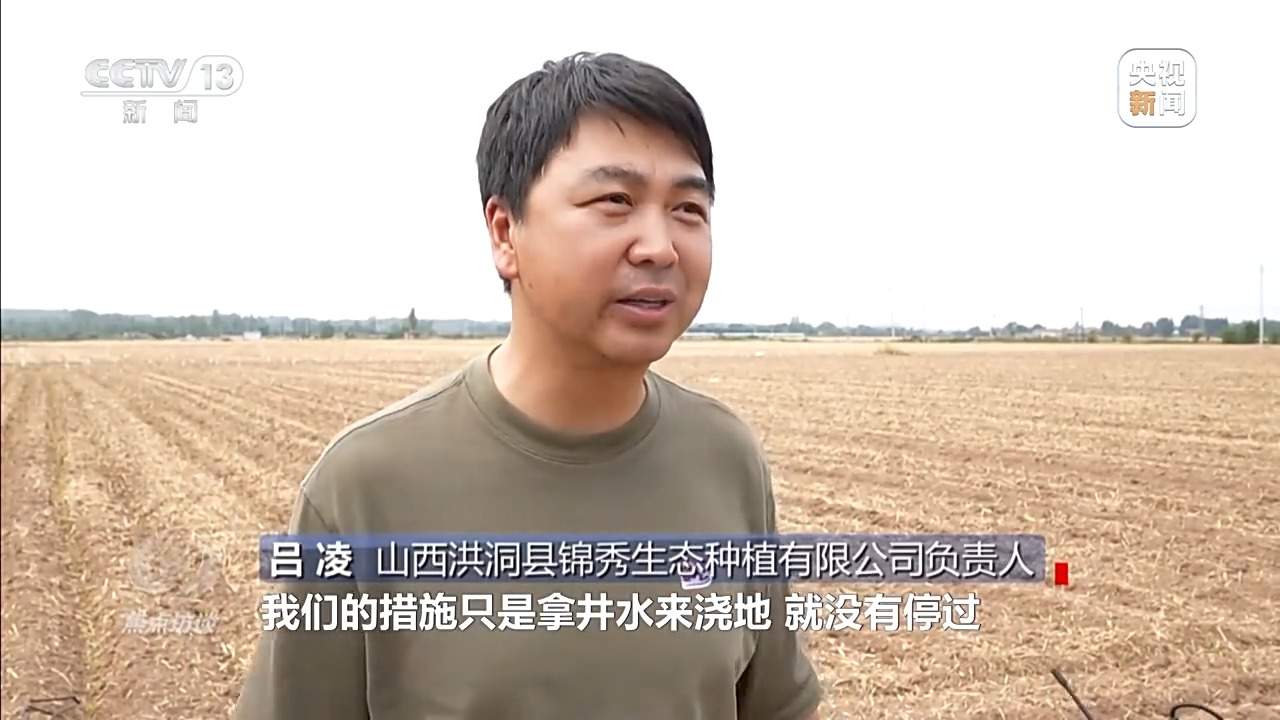 从抗旱到抢收 解读粮食增产背后的“密码”