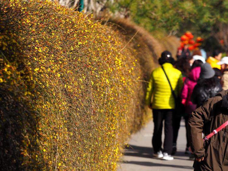 “坏回暖来了”上热搜，此次回暖是否异常？对生产生活有何影响？