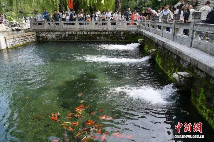 人这一辈子，一定要去济南赏一次泉！