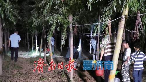 多维创新赋能乡村振兴 济南实践绘就民生新图景