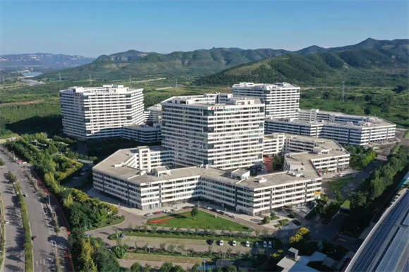 建设济南都市圈，大学很关键