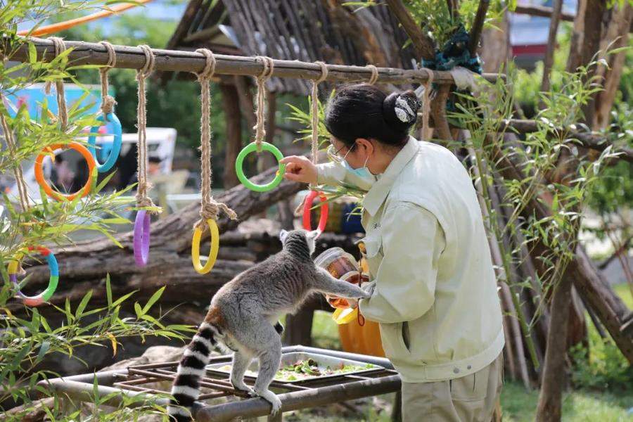 济南公园假期接待游客82.67万人次