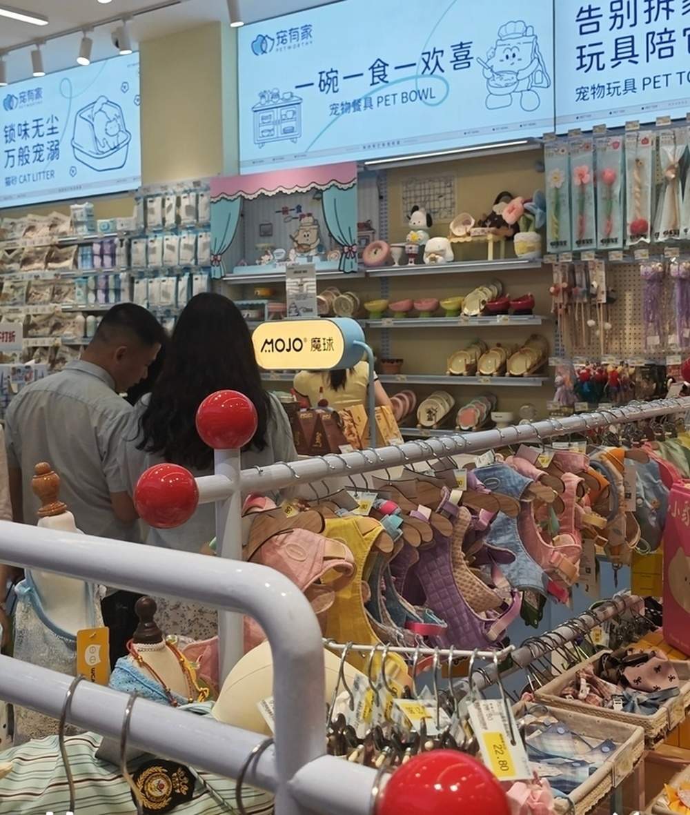 宠物集合店如同“母婴店”，网友：不能苦了“毛孩子”