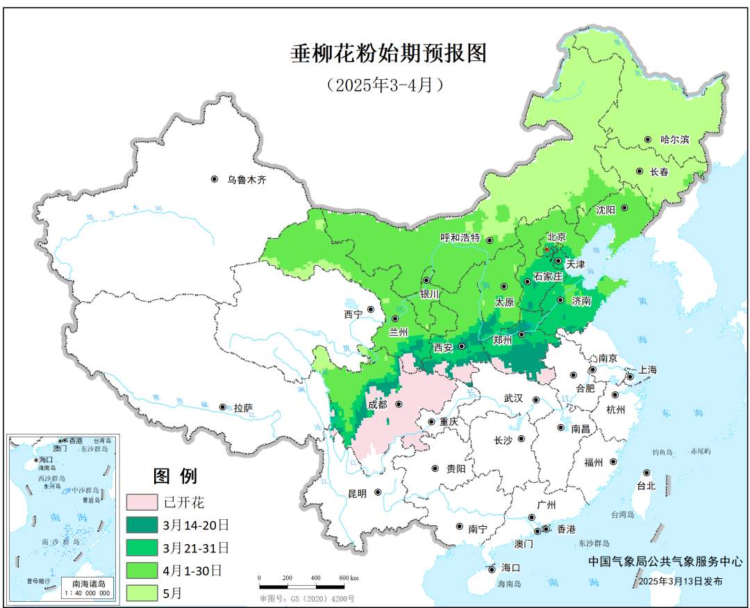 花粉暴击预警!这些地区即将进入过敏高发期,防护指南请收好!