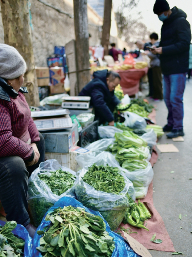 冬菜退场春菜上市，济南15种蔬菜价格环比下降8.6%