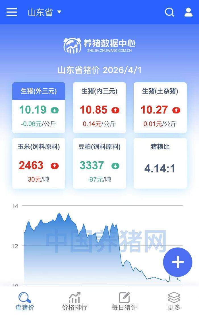 济南猪肉价格“腰斩”,前腿肉5.9元/斤,排骨跌至“个位数”,但黑猪肉价格仍然坚挺