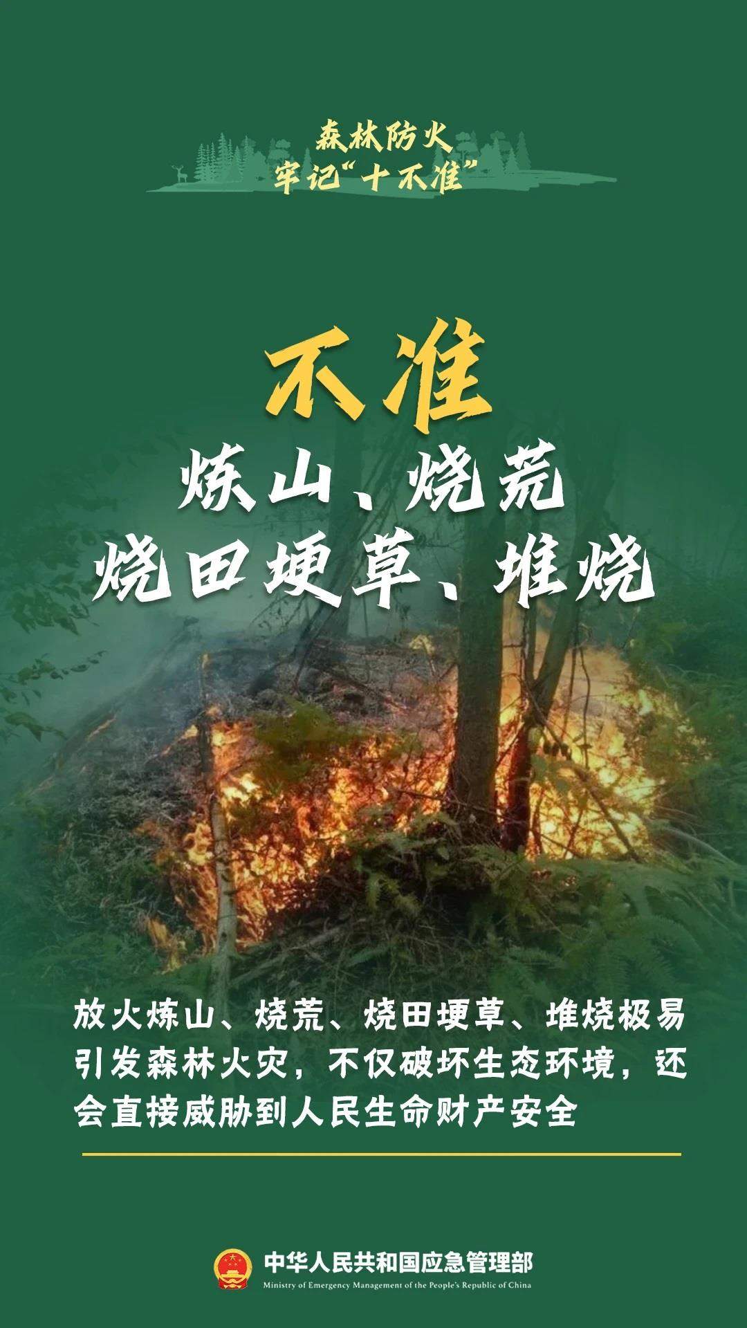 违规野外用火危害大森林防火十不准一定要牢记