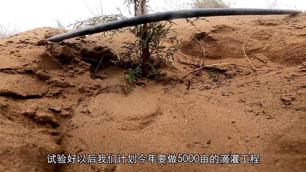 新华视点丨春日焕新景 产业促振兴