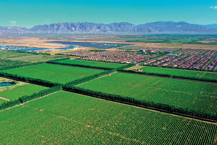 山海情深向未来